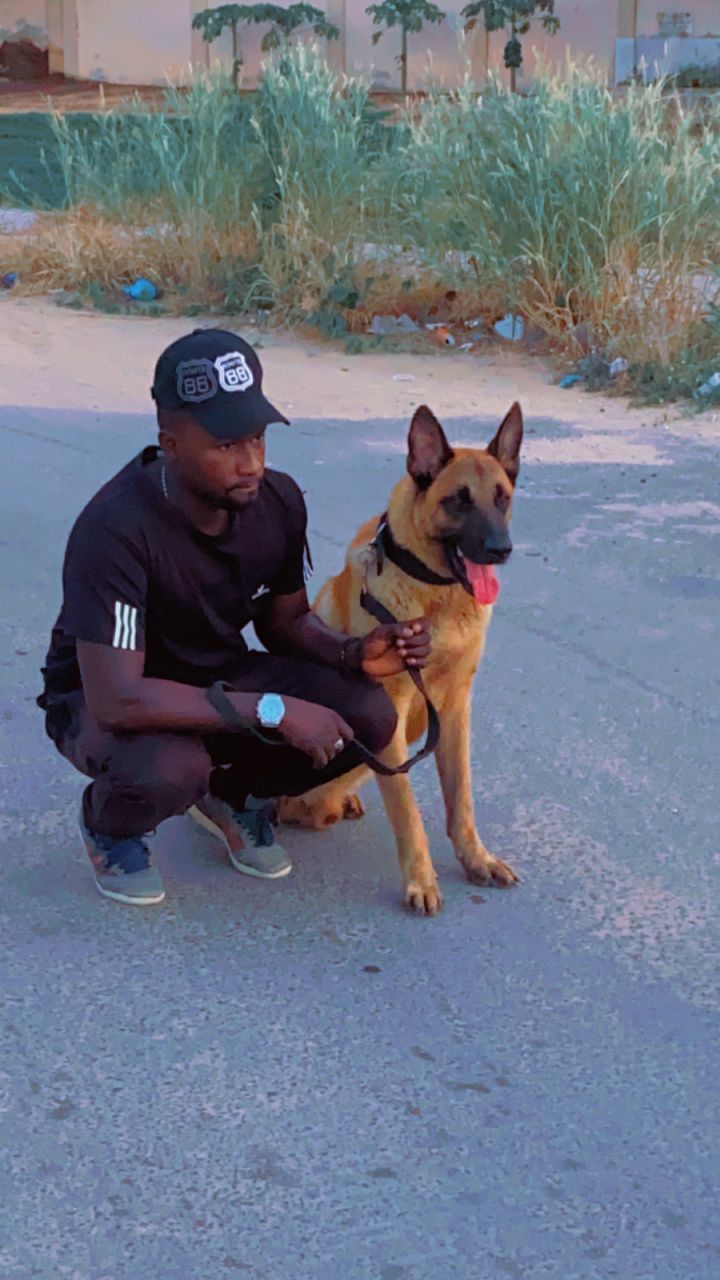 WhatsApp Image 2024-11-12 at 19.32.47